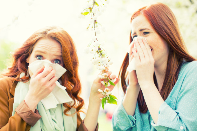 Allergie primaverili, quali sono i rimedi naturali?