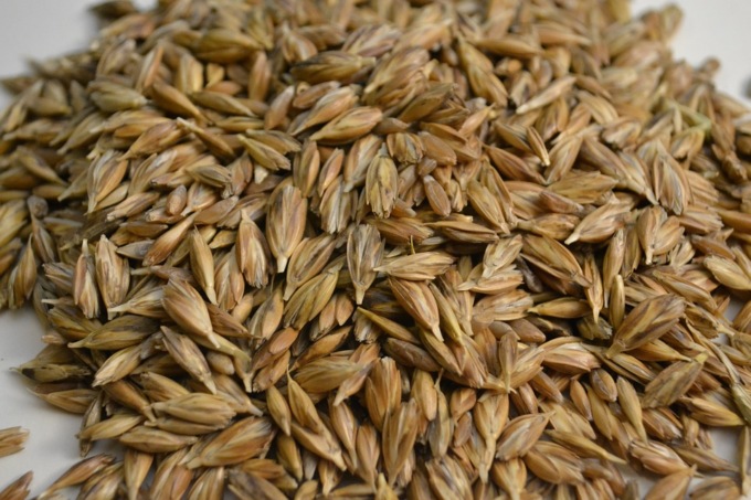 Farro, scopriamo un alimento leggero per l’estate