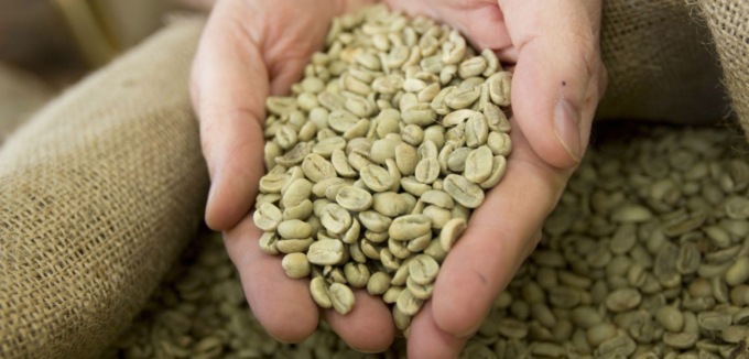 Caffè verde, bevanda dagli effetti benefici
