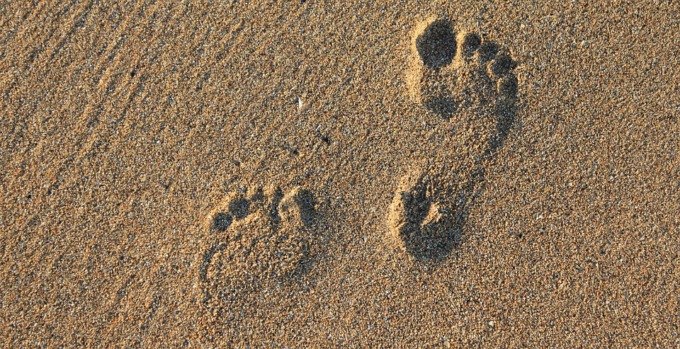 Plantari su misura per vivere meglio
