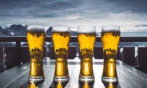 Storia della birra, la regina dei brindisi