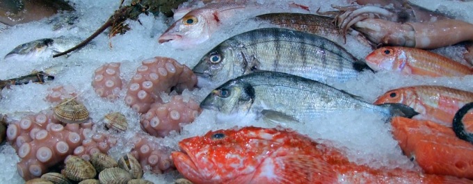 Come scegliere il pesce? Ecco alcuni consigli utili