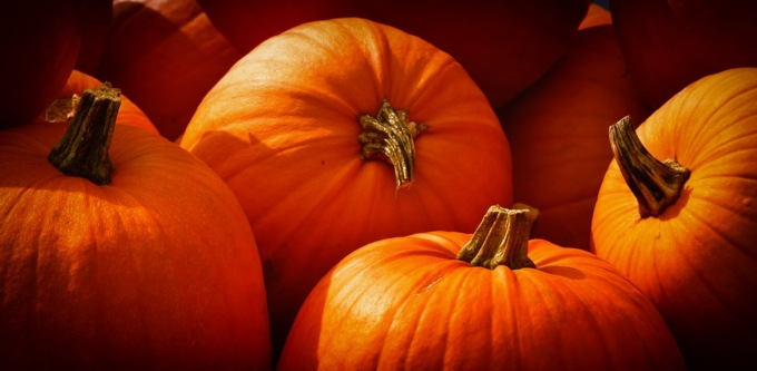 Ricetta per crocchette di zucca e grana