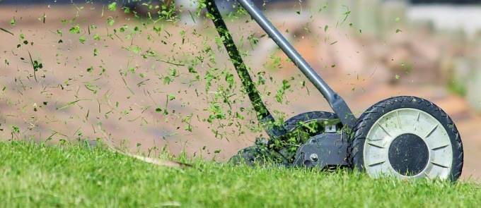 Mulching o taglio tradizionale, chi la spunta?