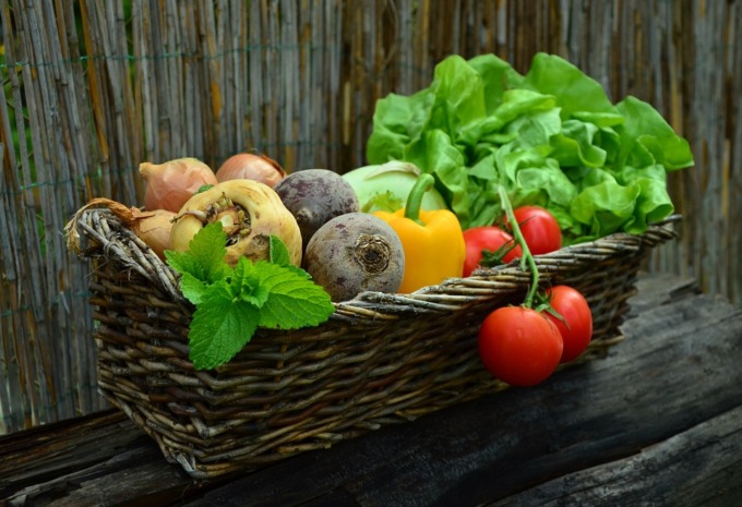 Che cosa si intende con alimentazione biologica?