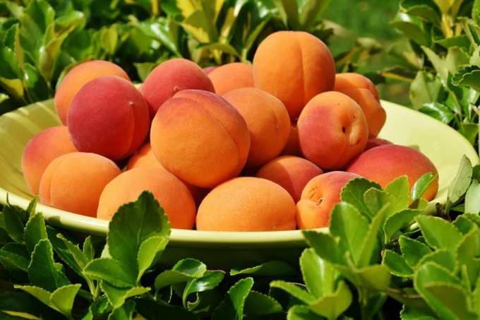 Come preparare il gelato all’albicocca e alle fragole di bosco