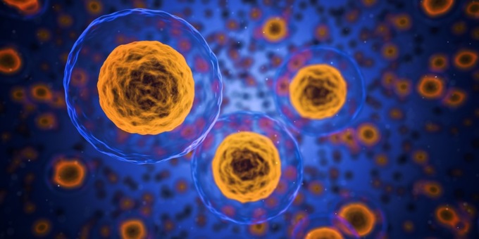 Cancro in Italia, i numeri 2019 del rapporto Aiom-Airtum