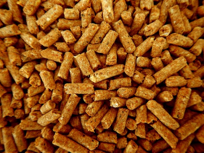 Stufa a pellet o a legna, che cosa scegliere?