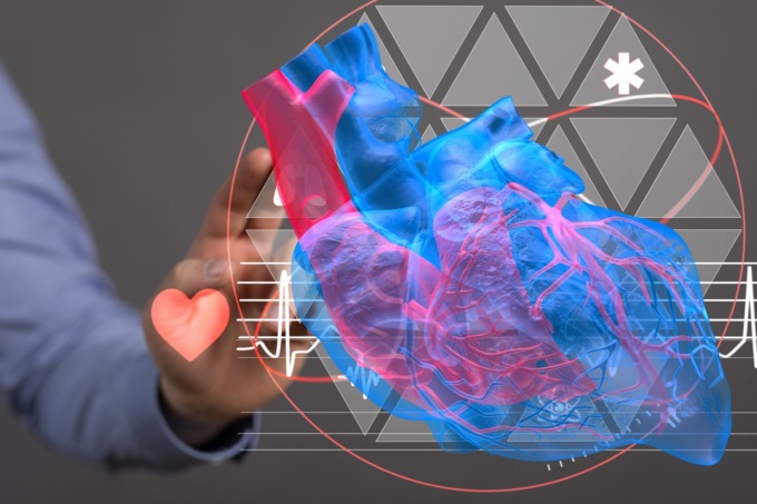 Prevenzione cardiovascolare e stile di vita