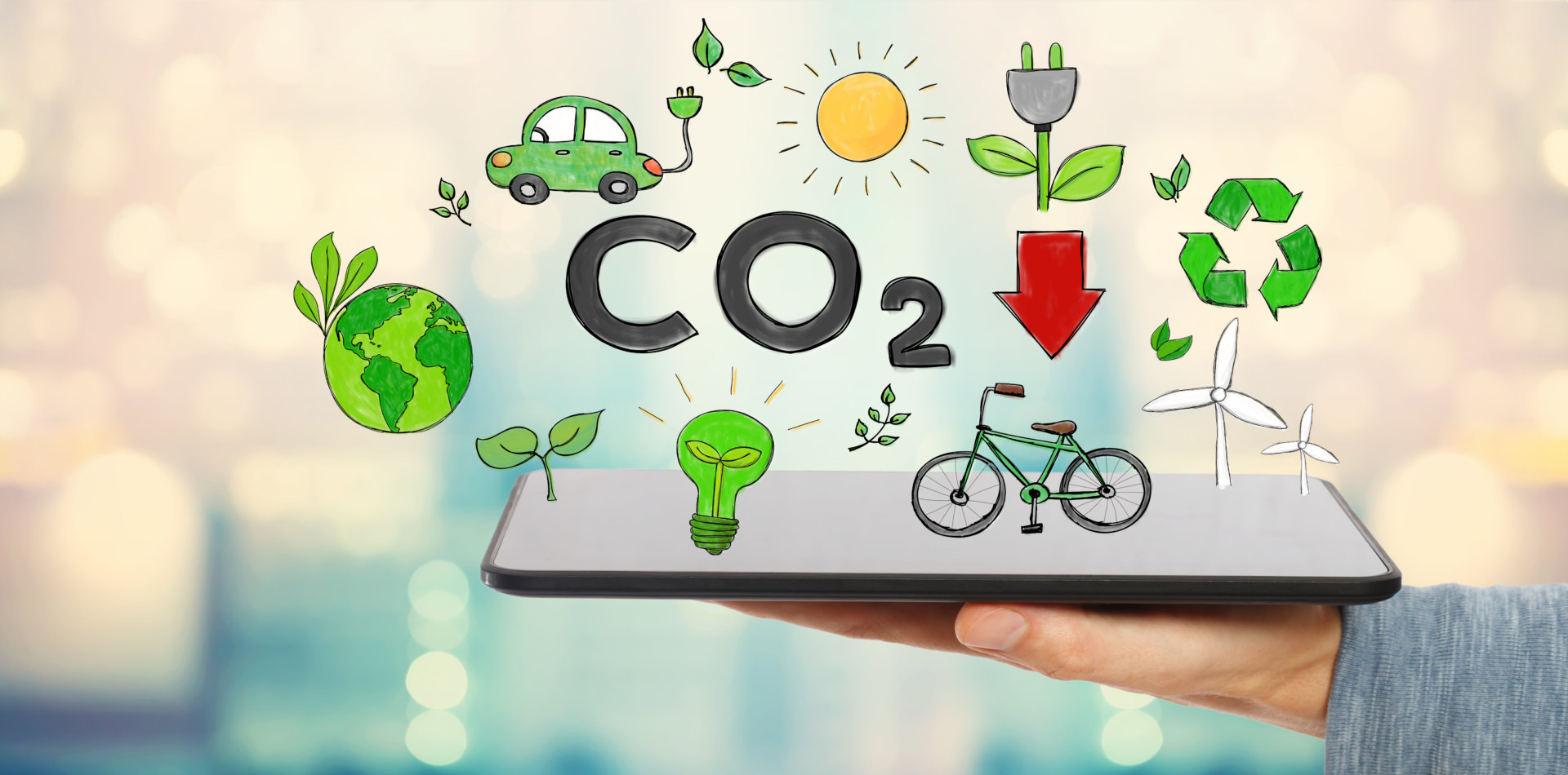 Vivere A Zero Emissioni Di CO2, Istruzioni Per L’uso VIDEO - News Prima