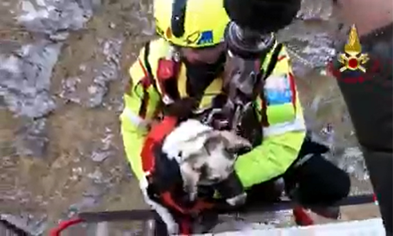 Il video del cagnolino salvato in vetta dall’elicottero dei Vigili del Fuoco