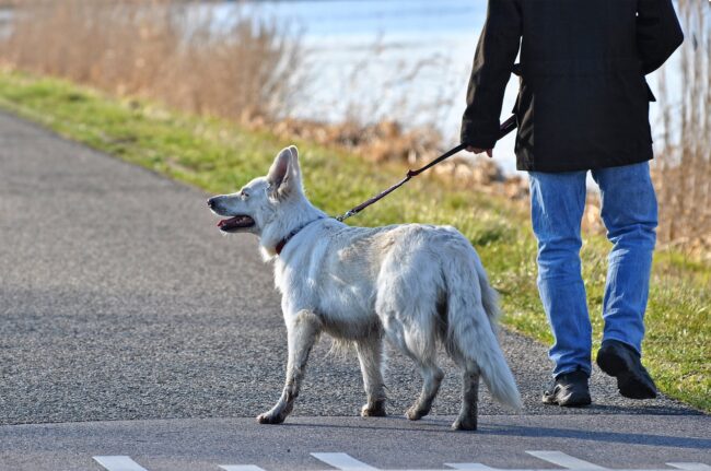 Coronavirus: nessun divieto per le passeggiate. Ma si raccomanda di non uscire di casa