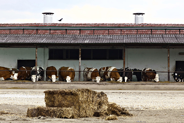 ROMANIA-AGRICULTURE