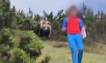 L'incredibile video del ragazzino trovatosi a tu per tu con l'orso