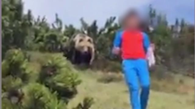L’incredibile video del ragazzino trovatosi a tu per tu con l’orso