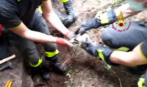 Gattino intrappolato in un tubo... all'Università IL VIDEO DEL SALVATAGGIO