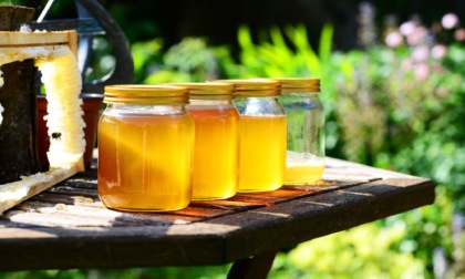 Aumenta il consumo di miele in pandemia