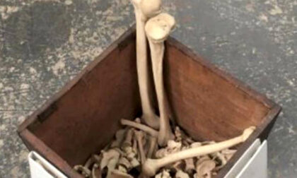 Cassa contenente ossa umane fatta ritrovare in un parco giochi a Firenze