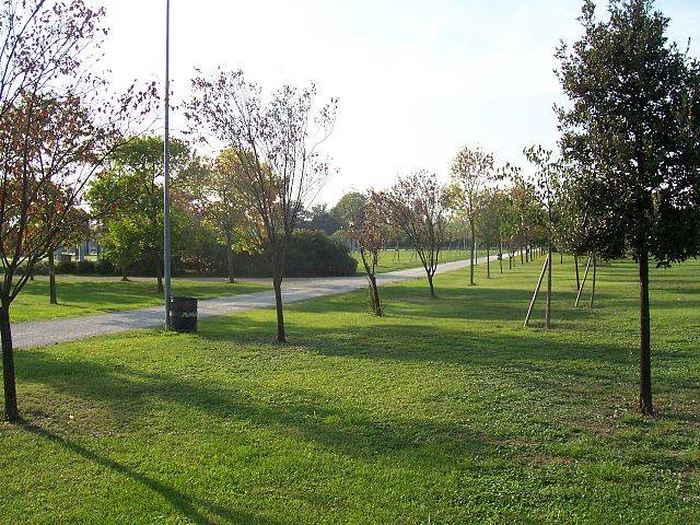 Webinar: I nuovi Criteri Ambientali Minimi per l’appalto di gestione del verde urbano