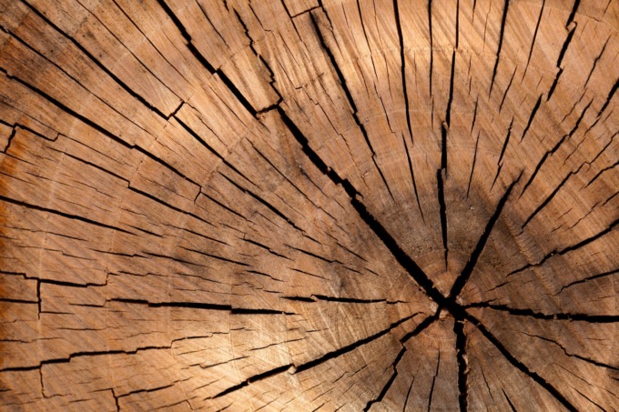Perché scegliere un pavimento in legno massello