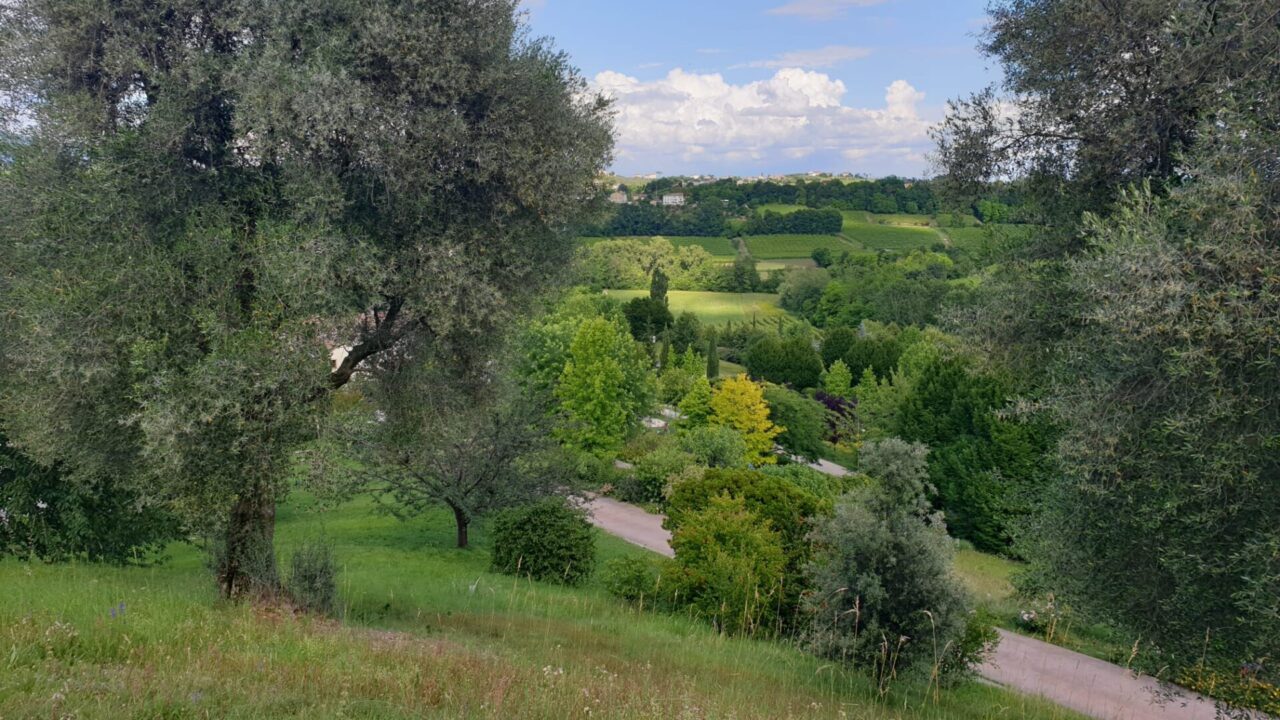 Agricoltura a prova di ambiente: in arrivo bandi per 20 milioni di euro dalla Regione
