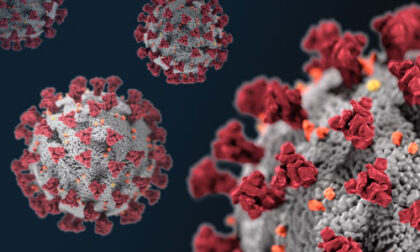 Coronavirus, al via il nuovo portale web per la consultazione rapida dei risultati