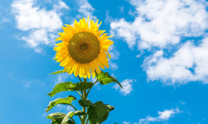 Sole, caldo e qualche nuvola. Previsioni meteo Lombardia per Ferragosto