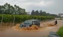 Sci nautico nel vigneto: il maltempo non toglie il buonumore nel Trevigiano - VIDEO