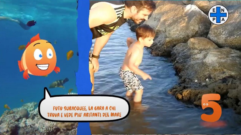 Stop al retino in spiaggia: i sei buoni motivi per dire “no” ai giochi con gli animaletti marini VIDEO