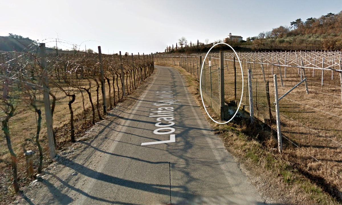 Cinque ventenni in auto, uno si sporge dal finestrino e finisce con la testa contro un palo