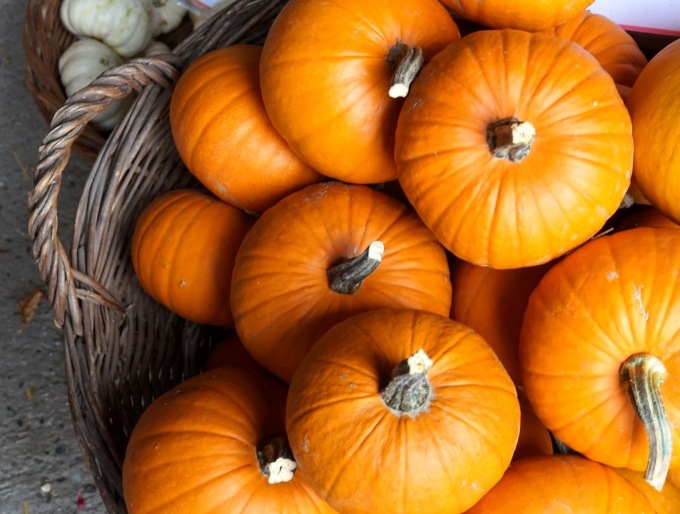 La zucca è la protagonista della stagione