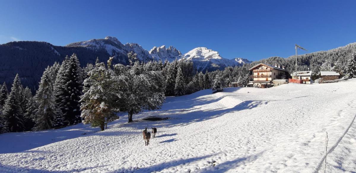 Fine settimana di maltempo in Veneto: tanta pioggia, vento e neve: i dati di Arpav