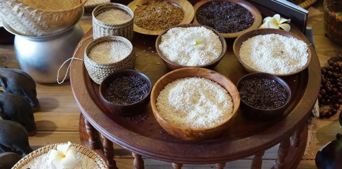Premio Nobel per la pace al World Food Programme