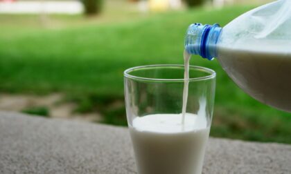Rischio microbiologico: il Ministero ritira latte intero UHT venduto da Lidl