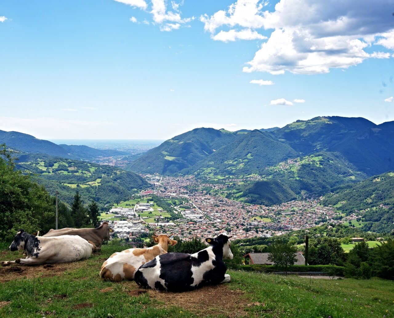 Gandino: un luogo da vivere, fra arte e natura