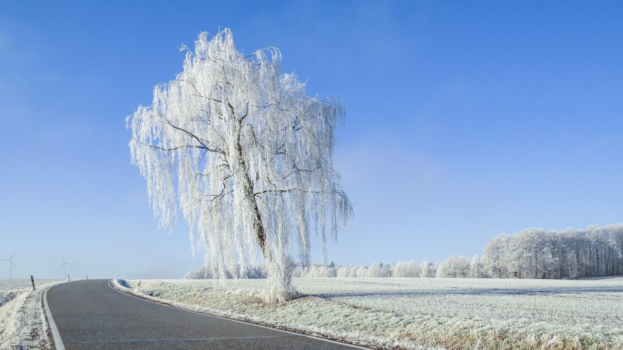 Neve a Capodanno? Forse, ma nel caso pochissimi centimetri | Previsioni Meteo Lombardia