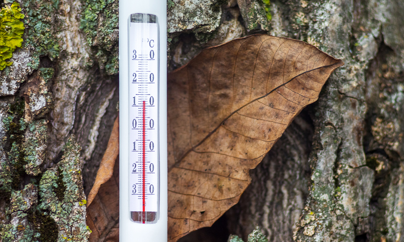 Arriva il Favonio (Fohn), su le temperature | Previsioni meteo Lombardia
