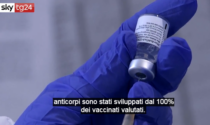 Covid, dopo la seconda dose sviluppa gli anticorpi il 100% dei vaccinati