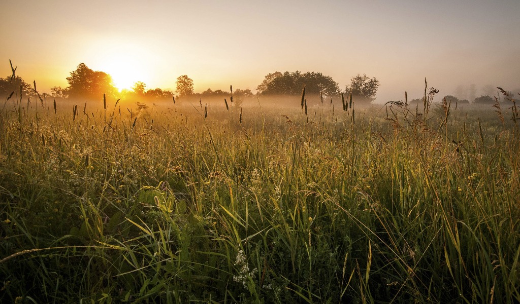 Tempo bello e stabile (almeno per una settimana) | Meteo Lombardia