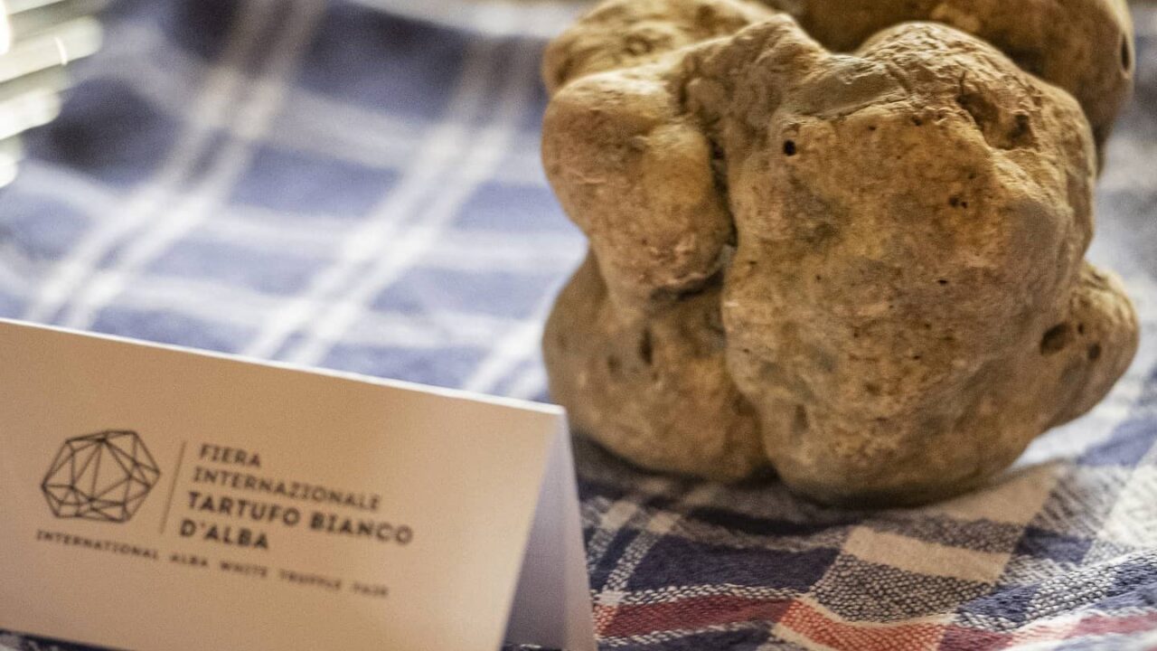 “Abbiamo riprodotto il tartufo bianco di Alba”: la “grandeur” francese che fa arrabbiare l’Italia