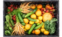 Verdura e frutta, meno di un italiano su 10 ne consuma a sufficienza