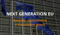 Aziende, sostenibilità e transizione green: le sfide del futuro