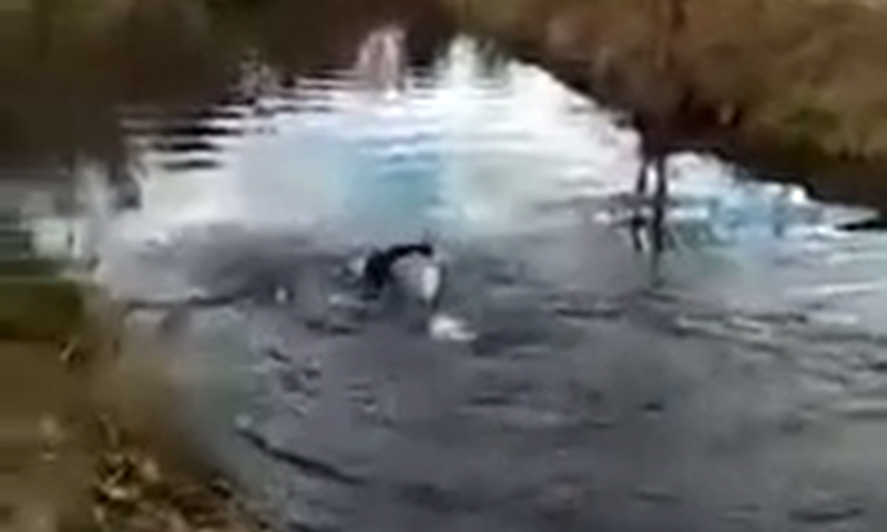 Zona rossa e piscine chiuse? E allora con la muta da sub nuoto nel fiume!