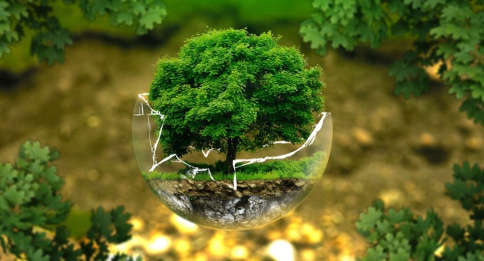 La Giornata Mondiale della Terra 2021