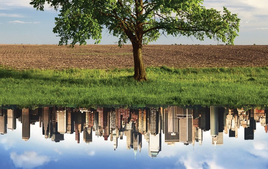 Agroecologia: l’agricoltura che rispetta ambiente, salute e diritti