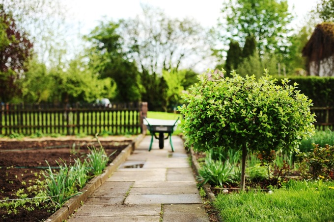 Il Bonus Verde dà nuova vita al giardino di casa
