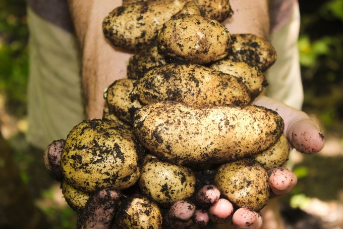 La ripartenza passa dall’agricoltura per l’83% degli italiani