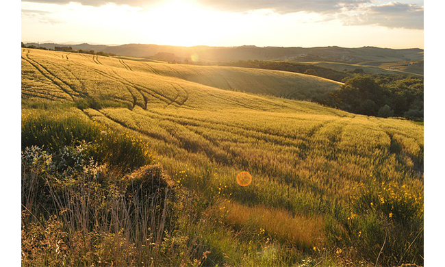 In Toscana l’estate 2021 è all’insegna di outdoor, natura, arte e cultura