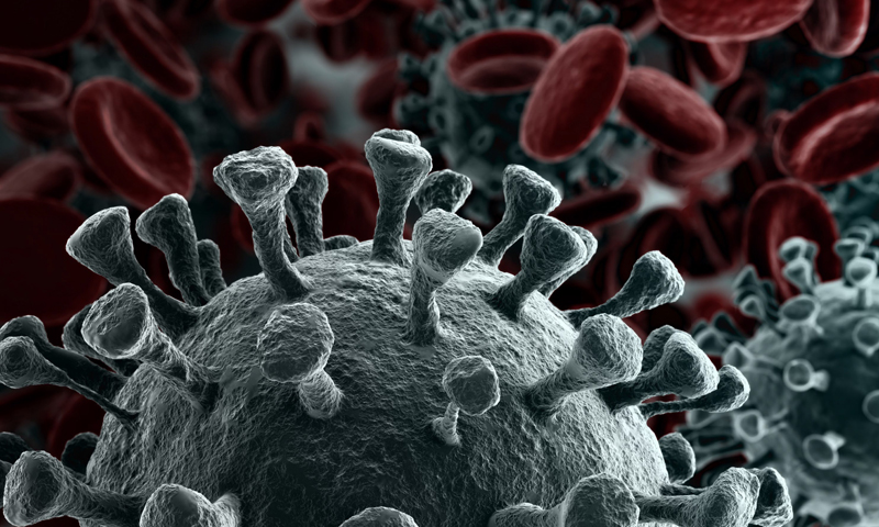 La concentrazione di sodio nel sangue è una “sentinella” per misurare il rischio Covid