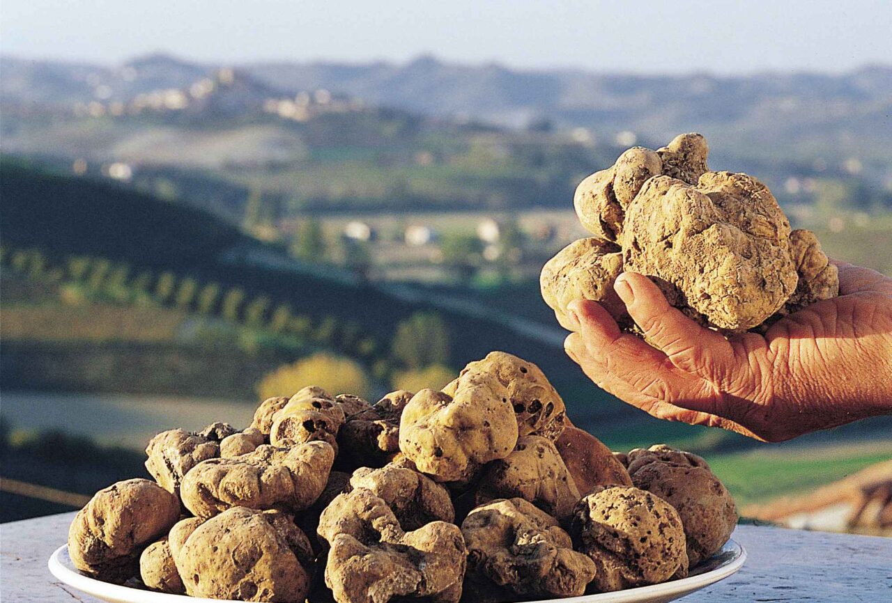 Piemonte sull’Olimpo: cerca del tartufo diventa patrimonio Unesco